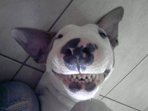 Андрей Первозванный