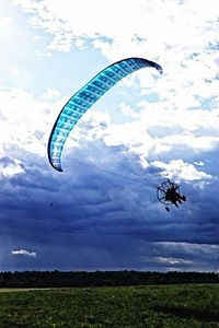 Коля Вовкин