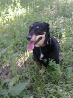 Зухра Саитова