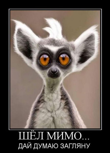 Теодос Кентрос