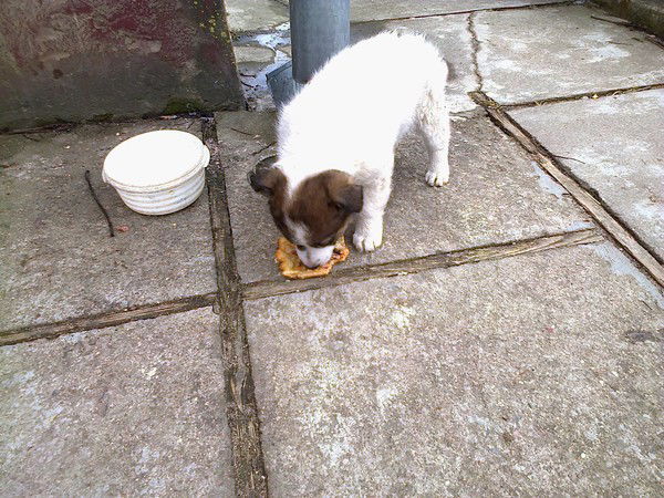 Татьяна Татьяна