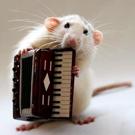 Сергей Березин