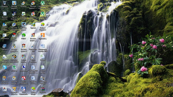 Ирина Ерина