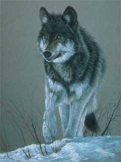 Наталья Булыгина (Анисимова)