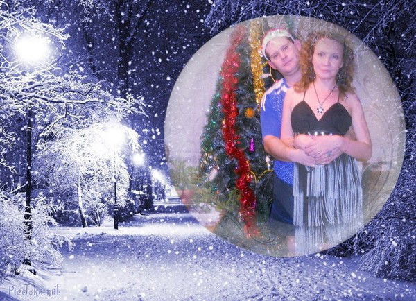 Евгений Плотников