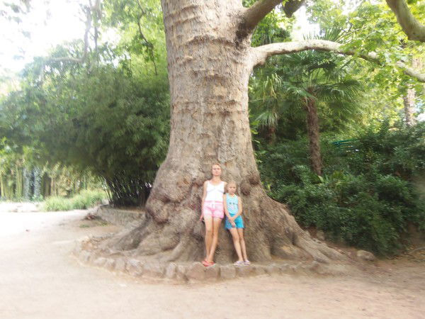 Лада Нистеренко