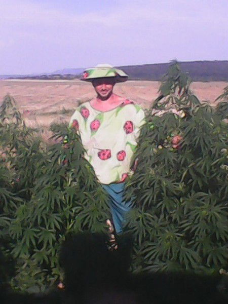 Владимир Гузь