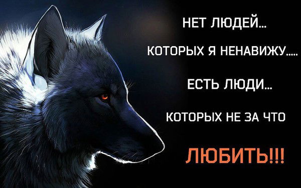 Сергей Полякин