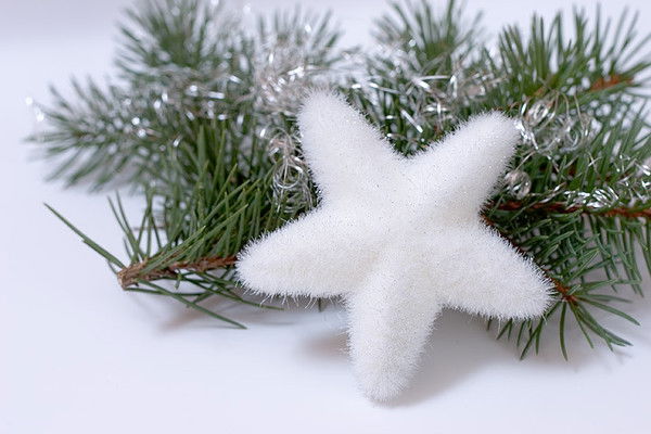 Елена Сафонова