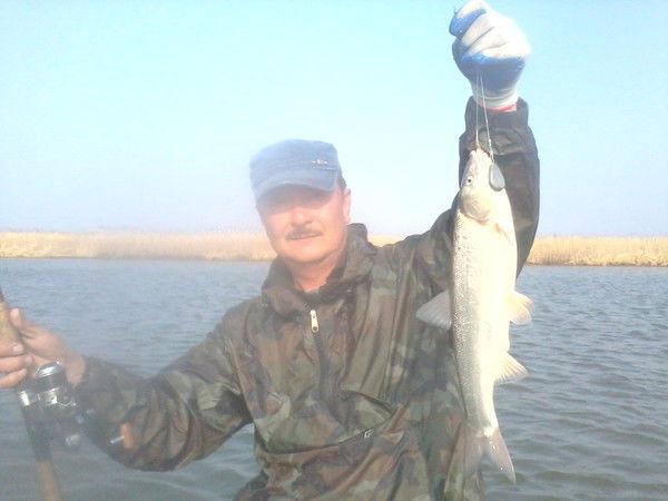 Эдуард Шегай