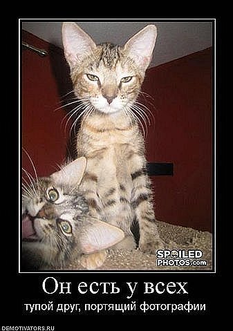 Ольга Тюменцева