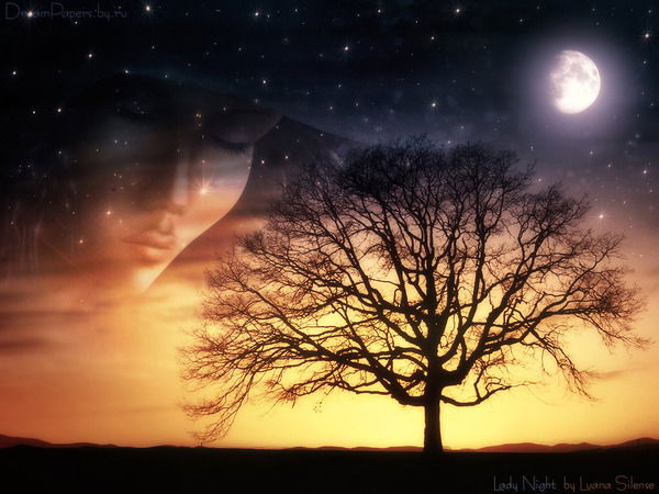 Лесхоз Зайсанский