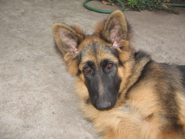 Сергей Коробов