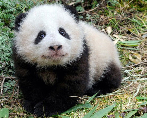 Валентина С.