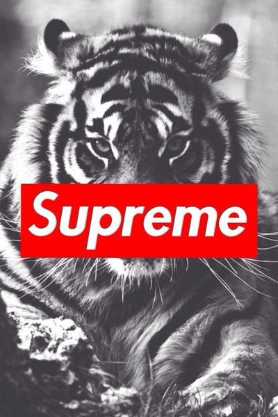 Нурсат Сагат