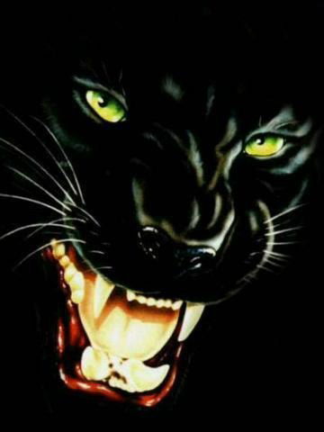 Оля Шереметьева