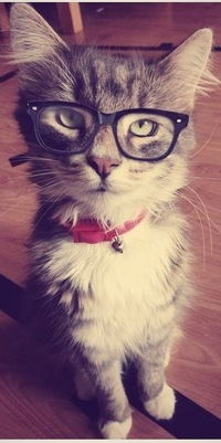 Александр Ворожейкин