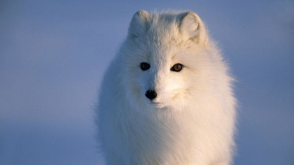 Валентина Кретинина