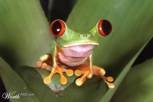 Ольга Левченко