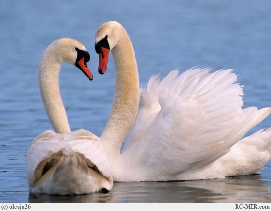 Татьяна Ищенко