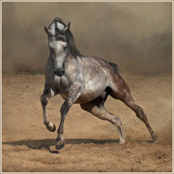 Утибай Мырзагереев