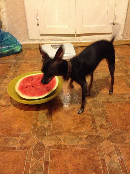 Татьяна Хан