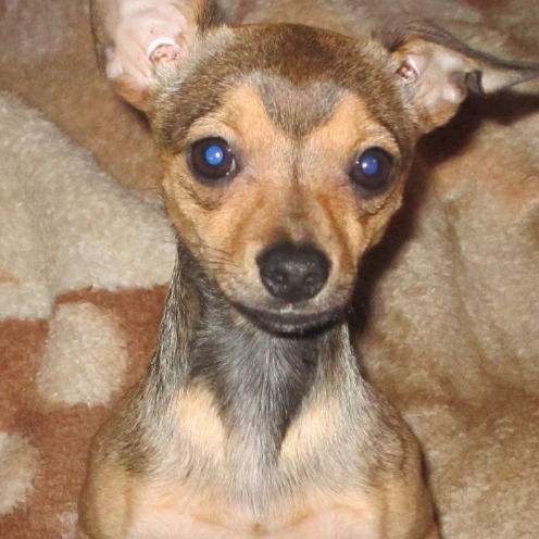 Татьяна Габараева