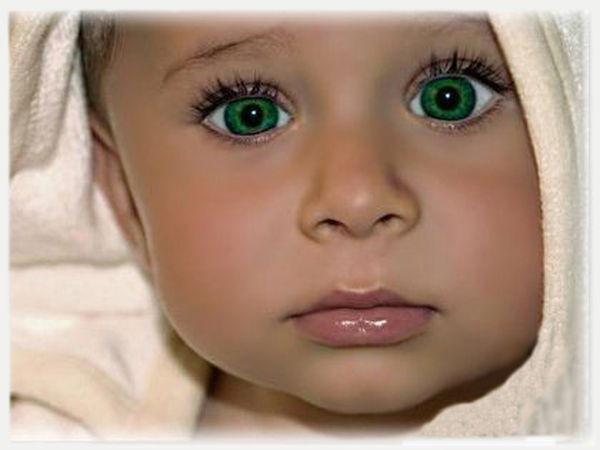 Сергей Орлов