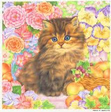 Анастасия Дегай