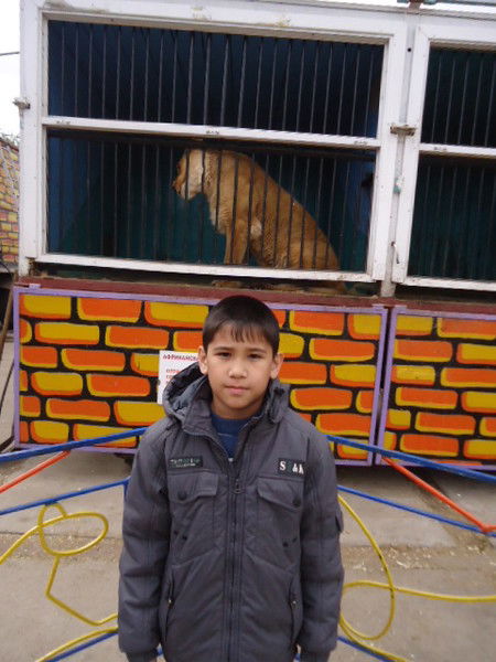 Иясин Байгожа