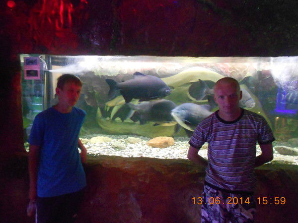 Павел Кульбачный