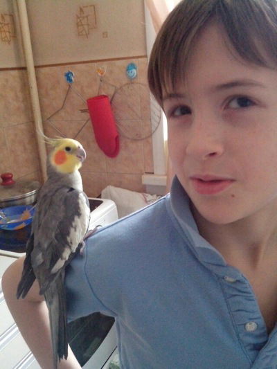 Не-Тупой Добавь-В-Друзья