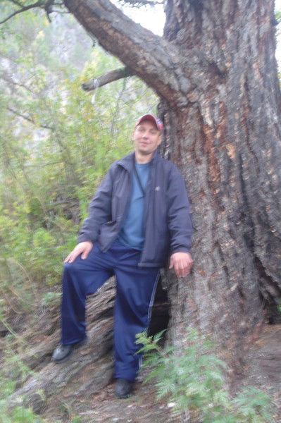 Андрей Щипцов