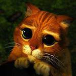 Неизвестно Неизвестно