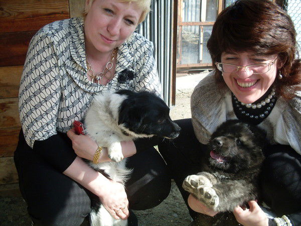 Людмила Сюткина