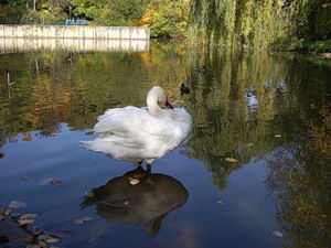 Венера Халикова