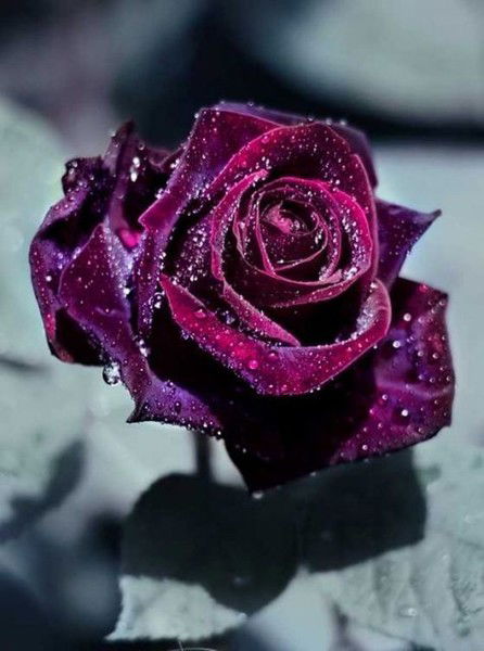 Гульсюм Керимова