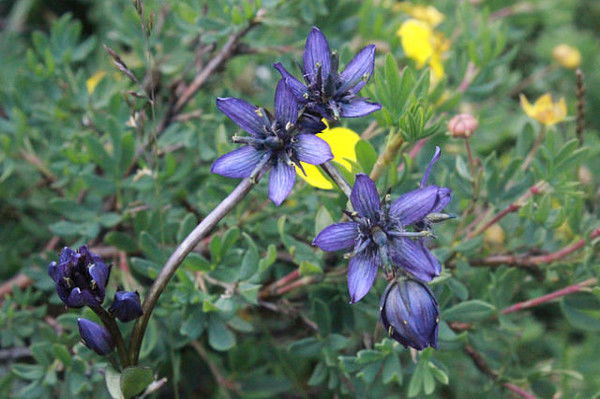 ... Владимир...