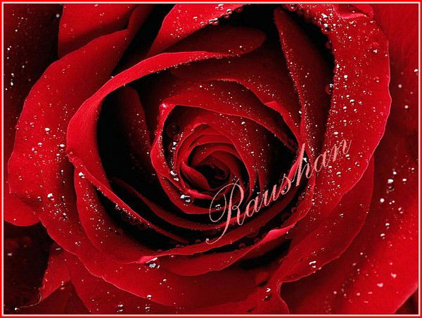 Raushan Azhimuratova