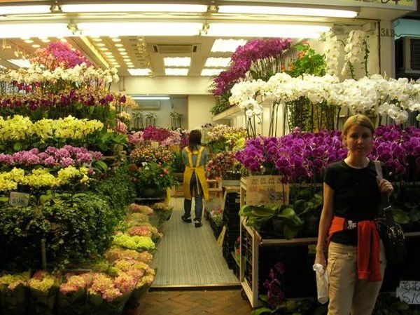 Лариса Соколова