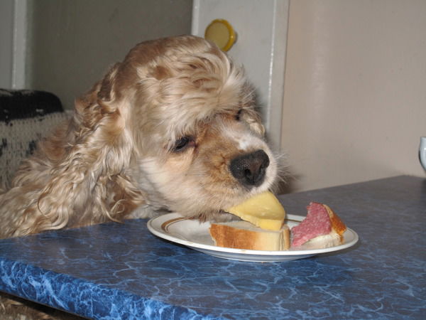 Владимир Пугач