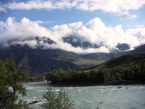 Алексей Бакунин