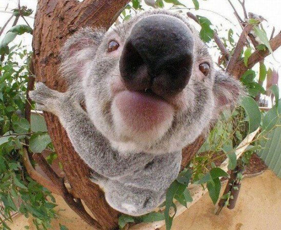 Павел Никулушкин