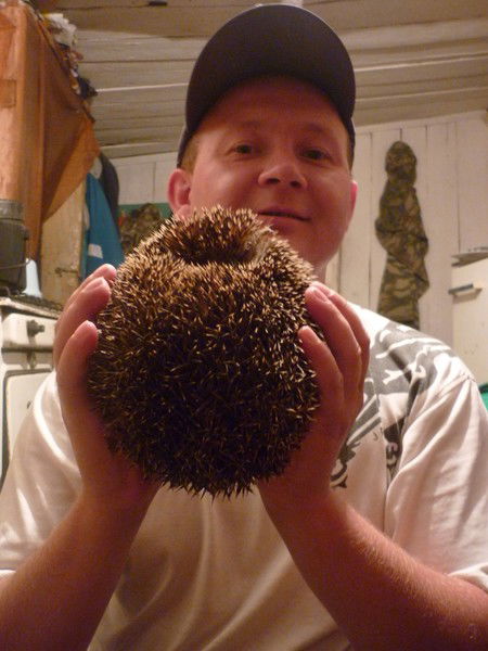 Александр Шилов