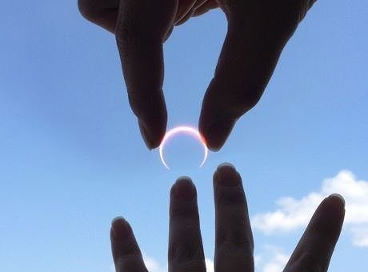 ******милое****** *****солнышко*****