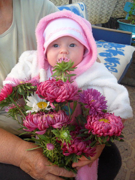 Юрий Пешехонов