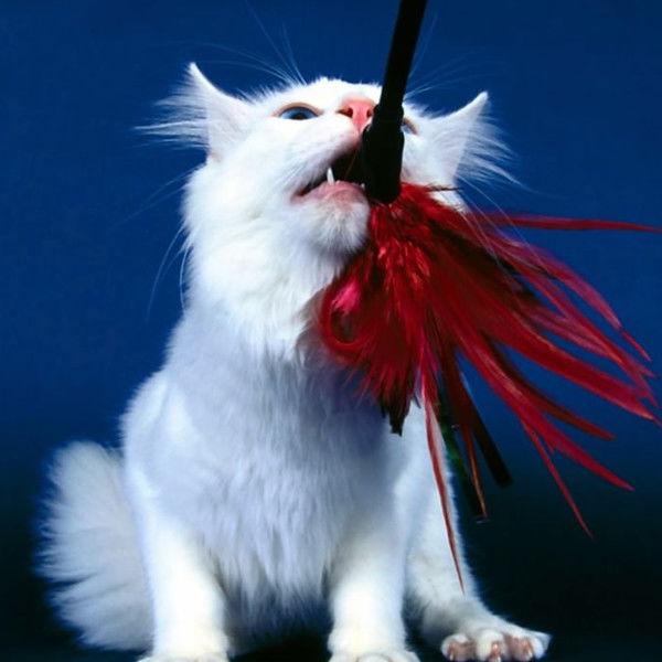 Зухра Риянова