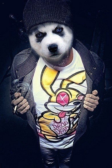 Тавис Тургунов