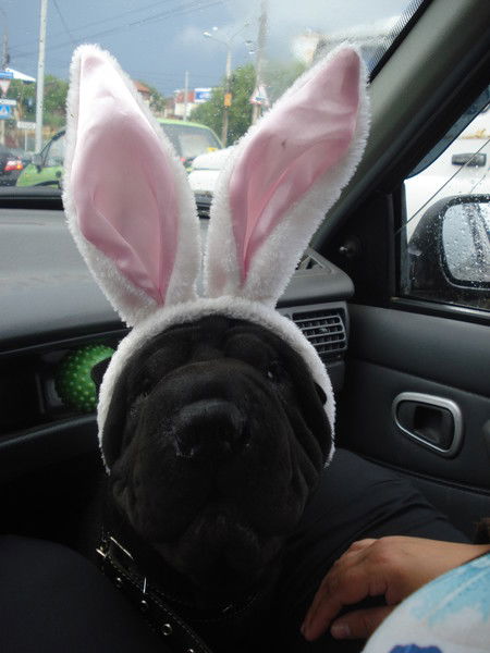 Лёлишна Белякова