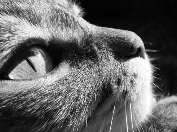 Алинка Рябичева